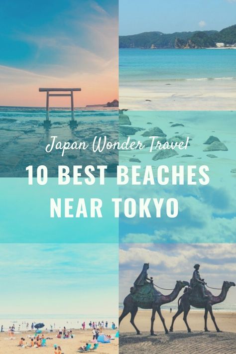 There are many beautiful beaches near Tokyo! Beaches In Japan, Japan Beaches, Japan Honeymoon, Japan Beach, Day Trips From Tokyo, Japan Destinations, Visit Tokyo, Japan Itinerary, Beach Weather