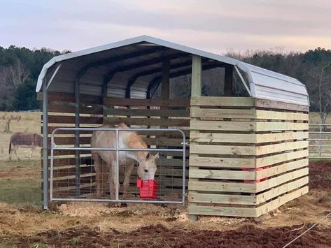 Calf Shed Ideas, Cheap Horse Shelter Ideas Easy Diy, How To Build A Horse Stall, Lean To For Horses, Horse Stall Ideas Diy Cheap, Paddock Ideas, Easy Horse Stalls Diy, Horse Lean To, Horse Shed Ideas