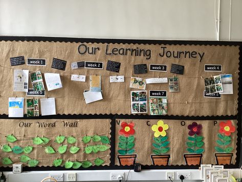 Learning Journey Display, Infant Toddler Classroom, Year 1 Classroom, Plants Display, Science Display, Kindergarten Bulletin Boards, Teaching Displays, Eyfs Ideas, Class Displays