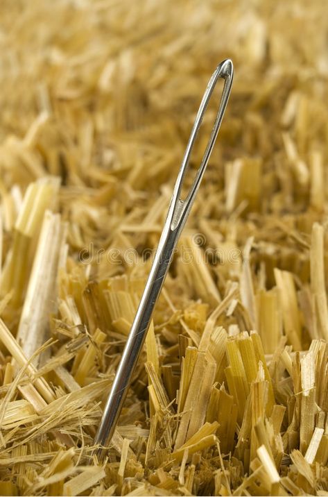 Needle In A Haystack. Needle sticking out of hay , #SPONSORED, #Haystack, #Needle, #hay, #sticking #ad Needle In A Haystack, Remembering Mom, Stick It Out, For Real, Macaroni And Cheese, Real Life, Coaching, Party Ideas, Birthday Party