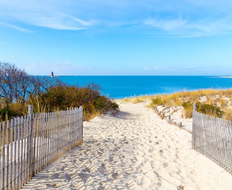 The state of Delaware is home to a wide variety of beaches that are worth a visit on any summer afternoon. Here are some of the best and most beautiful. Dewey Beach, Fenwick Island, Delaware Beaches, Bethany Beach, Rehoboth Beach, Beach Activities, Vacation Resorts, Island Beach, Weekend Getaway