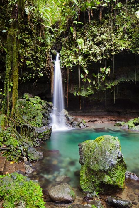 Tiny island of Dominica is the Caribbean's best kept holiday secret - Mirror Online Tiny Island, Island Destinations, Island Holiday, Desert Island, Caribbean Travel, Koh Tao, Island Vibes, Paradise Island, Island Travel