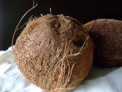 HERBAL PICNIC: COCONUT Coconut is for quick & fortuitous good luck. Hang a whole coconut in the home for protection. Coconut can be used in chastity spells & protection & purification rituals . A coconut can be halved,drained,filled with protective herbs & sealed shut,then buried to protect your property. Spells With Coconut, Herbs Magic, Natural Healing Herbs, Spells Protection, Osteoporosis Prevention, Speed Up Metabolism, Stomach Ulcers, Periodontal Disease, Herbal Magic