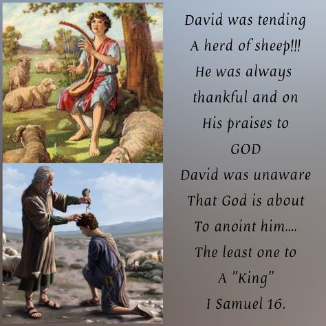 CHRIST 'HIS GRACE': "DAVID ANOINTED BY SAMUEL TO BE THE KING" Prophet Samuel, Herd Of Sheep, Chosen By God, In His Time, Fear Of The Lord, I Want Him, Do Everything, God Is, The King