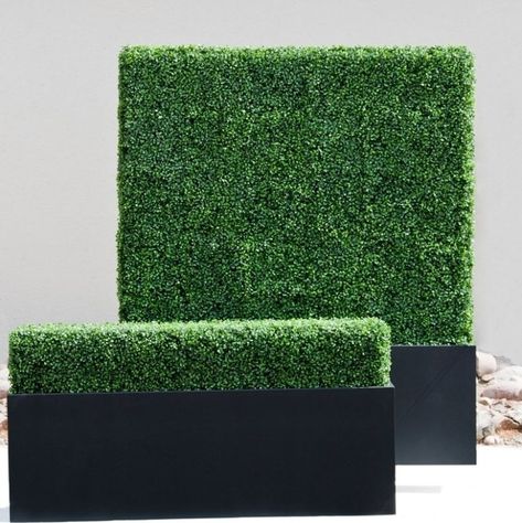 Privacy Hedge, Artificial Hedges, Boxwood Hedge, Privacy Plants, Backyard Privacy, Artificial Boxwood, Fence Panel, Modern Planters, Artificial Turf