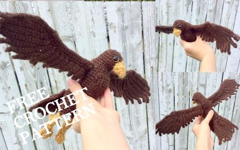 Amigurumi Falcon Free Crochet Pattern - Amigurumi Crochet Falcon Bird Pattern, Crochet Bird Wings Free Pattern, Eagle Crochet Pattern Free, Amigurumi Bird Free Pattern, Messiah University, Crochet Eagle, Character Crochet, Crochet Silver, Bird Crochet