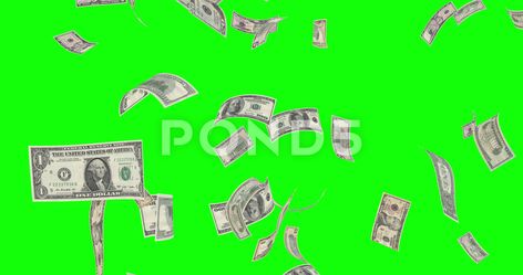 Different US Banknotes are Falling on a Green Screen Stock Footage #AD ,#Green#Falling#Banknotes#Footage Money Green Screen, Picture Editing, Picture Editing Apps, Editing Apps, Alpha Channel, Infographic Templates, Party Flyer, Green Screen, Editing Pictures