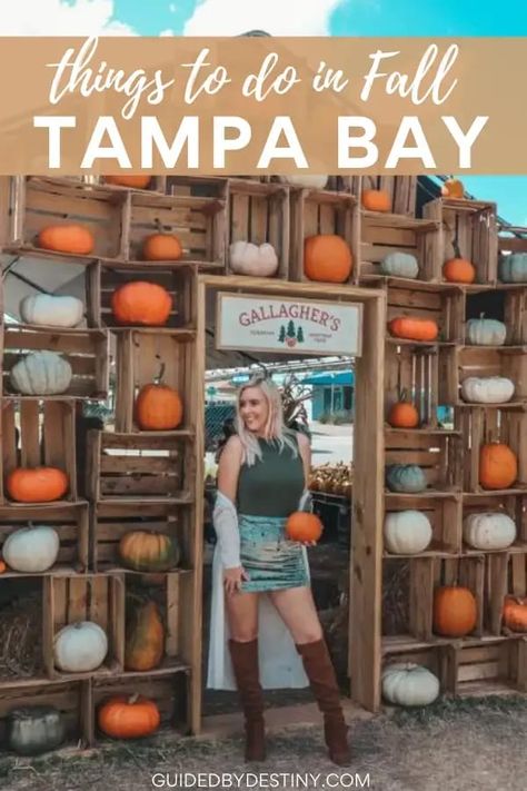 There’s so many unique festivals and things to do in Tampa Bay this fall, I’ve put together this guide of the best things to do in Tampa Bay in the fall with some of the best fall festivals in the US, don’t miss these fall things to do in Florida if you’re planning places to visit in fall USA. For Florida fall trips and Florida in the fall inspo, don’t miss these Florida fall activities in Tampa Bay. Things To Do In Tampa, Florida Fall, Things To Do In Florida, Best Pumpkin Patches, Southern Sweet Tea, Florida Weather, Fall Festivals, Fall Things, Fall Events