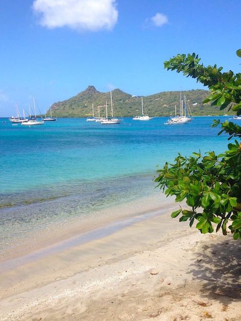 Perfect Caribbean beach. Tyrrel Bay, Carriacou. Grenada. From Island Runaways, an island travel blog. www.IslandRunaways.com Carriacou Grenada, Caribbean Beach, Caribbean Beaches, Island Travel, Travel Blog, Vision Board, Water, Travel