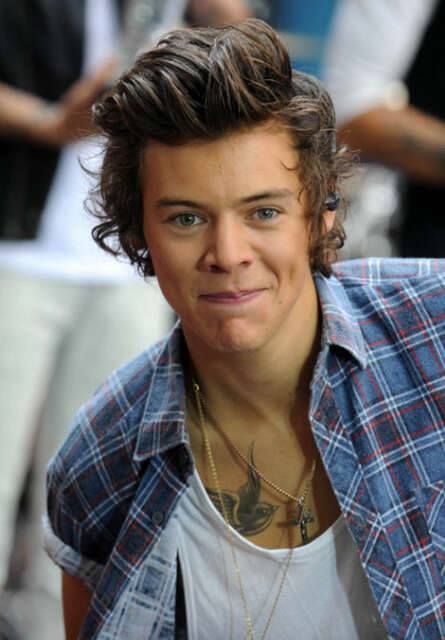 Harry Styles Images, Harry Styles Clothes, Harry Styles Face, Harry Styles 2013, Harry Style, Idea Box, Harry Styles Hot, Holmes Chapel, Harry 1d