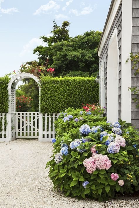 A Nantucket Cottage Garden Finds its Sweet Spot - This Old House Arbor Entrance, Nantucket Gardens, Privet Hedge, Nantucket Cottage, Small Front Yard Landscaping, Front Yard Garden Design, Garden Entrance, Garden Arches, Modern Landscape Design