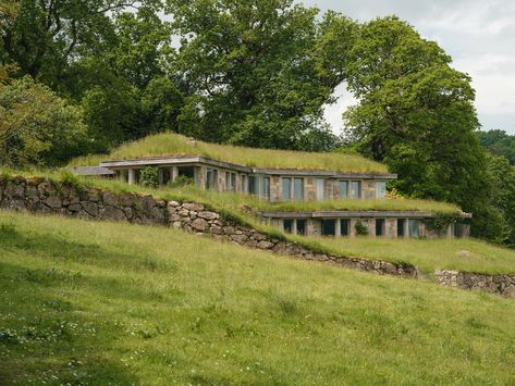 Literary editor Gail Pirkis's grass-topped home in Dartmoor has a soft, modest footprint that's simpatico with the natural world that surrounds it. Grass Roof, Earth Sheltered, Gardening Trends, Country Landscape, Planting Hydrangeas, Landscape Architecture Design, West Country, Country Landscaping, The Editor