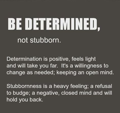 65 Quotes about Being Stubborn | Stubbornness Sayings & Images Stubborn Quotes, Quotes About Moving On From Love, Philosophical Quotes About Life, Stubborn People, Determination Quotes, Philosophical Quotes, Sharing Quotes, Feeling Positive, Quotes About Moving On