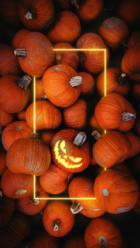 Yellow Halloween Aesthetic, Halloween Screensavers, Aesthetic Season, Halloween Pumpkin Images, Imprimibles Halloween, Helloween Wallpaper, Scary Halloween Pumpkins, Pumpkin Wallpaper, Pumpkin Images