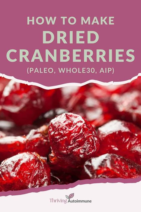 Dehydrated Cranberry Recipes, Aip Cranberry Recipes, Paleo Cranberry Recipes, How To Make Dried Cranberries, Raw Cranberry Recipes, Dried Cranberries Recipes, Aip Snacks, Aip Foods, Aip Meals