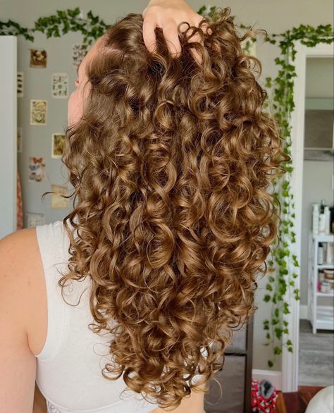 Quantity Surveyor, Curly Haircut, Dyed Curly Hair, Natural Curly Hair Cuts, Highlights Curly Hair, Honey Brown Hair, Brown Curly Hair, Curly Hair Tutorial, Curly Hair Photos