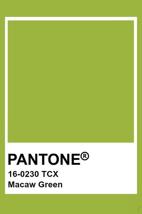 2019-2020 Spring Summer "Optimist" Macaw Green Pantone Verde, Green Pantone, Color Uva, Pantone Tcx, Pantone Green, Pantone Color Chart, Pantone Swatches, Pantone Palette, White Grape