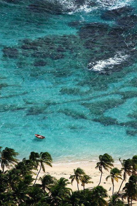 La Désirade Island, Guadeloupe. Souffleur's beach. Summer Paradise, Amsterdam Travel, Bora Bora, Caribbean Islands, Dream Destinations, Places Around The World, Wonderful Places, Dream Vacations, Beautiful Beaches