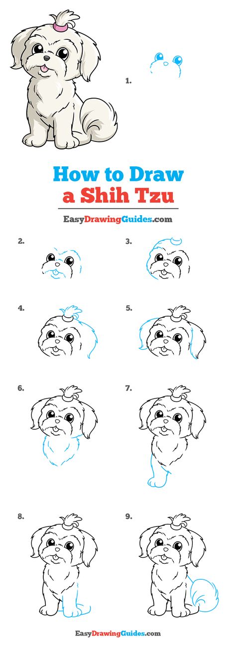 How to Draw a Shih Tzu Step by Step Tutorial Image Shih Tzu Dog Drawing Easy, Shih Tzu Puppy Drawing, How To Paint A Shih Tzu, How To Draw A Shitzu Dog, Shitzu Paintings Easy, How To Draw A Shih Tzu, How To Draw A Shih Tzu Step By Step, Shih Tzu Drawing Easy, How To Draw Puppies