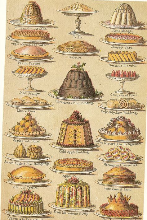 Victorian Gel- Cookery Victorian Recipes, Victorian Cakes, Household Management, Food History, Illustration Food, Vintage Cookbooks, Victorian Christmas, Food Drawing, Puddings