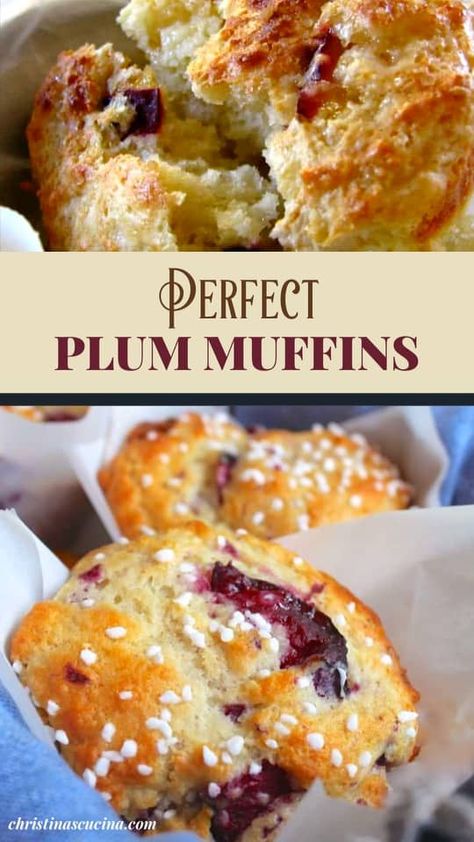 Plum Oat Muffins, Plum Muffins Healthy, What To Make With Fresh Plums, Plum Muffins Recipe, What To Make With Plums, Plum Recipes Dinner, Dried Plum Recipes, Plum Recipes Healthy, Plum Muffins