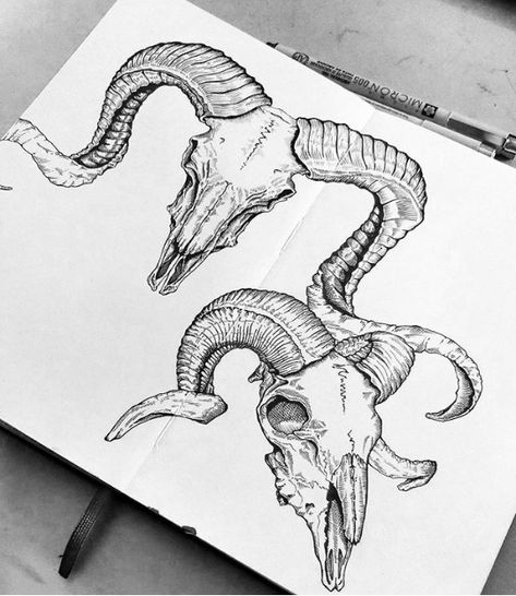 Ram Skull Tattoo, Rabe Tattoo, Skull Tattoo Designs, Goat Skull, Ram Skull, Black And White Illustrations, Instagram Illustration, Skulls Drawing, Japanese Tattoos