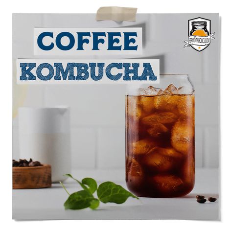 Learn how to make coffee kombucha. Caffeine & probiotics combine in coffee kombucha. Taste your two favorite flavors using this recipe! Kombucha Recipe Flavored, Kombucha Recipes, Flavoring Kombucha, Flavored Kombucha Recipe, Kombucha Flavors Recipes, How To Make Kombucha With A Scoby, Coffee Kombucha, What To Do With Extra Kombucha Scoby, Best Kombucha