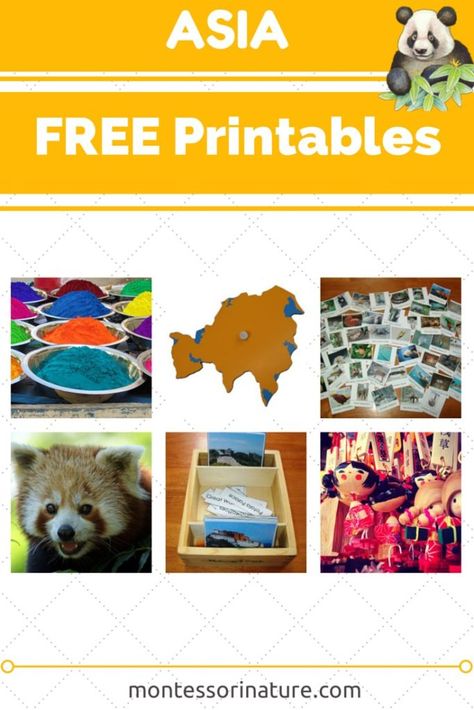 Asia - Free Printables. Resources for the Montessori Classroom - Montessori Nature Culture Pictures, Classroom Montessori, Continent Boxes, All About Me Preschool Theme, Me Preschool Theme, Montessori Geography, Asia Continent, Geography Activities, All About Me Preschool