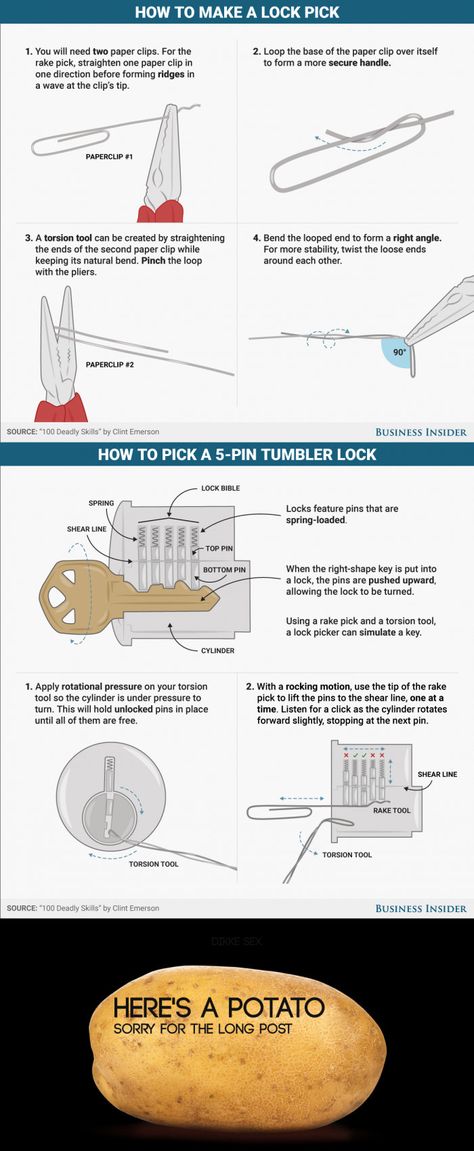 What kind of key doesn't open a lock? Burgess Shale, Writing Dialogue Prompts, Dialogue Prompts, Writing Dialogue, Thank Me Later, Charles Darwin, Fiction Writing, Sports Humor, Business Insider