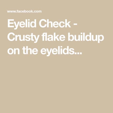 Eyelid Check - Crusty flake buildup on the eyelids... Eye Doctor, An Eye, Health