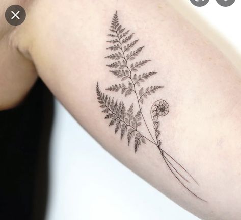 Natur Tattoo Arm, Fern Tattoo, Mushroom Tattoos, Plant Tattoo, Botanical Tattoo, Tattoo Design Ideas, Dainty Tattoos, Mom Tattoos, Nature Tattoos