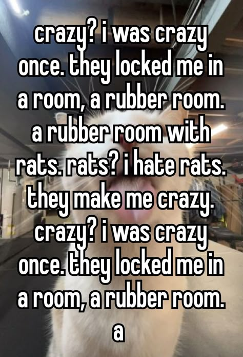 They Locked Me In A Room A Rubber Room, Rubber Room With Rats, I Was Too Silly, Silly Rat, Crazy I Was Crazy Once, Crazy Meme, I Was Crazy Once, Am I Crazy, Funny Looking Cats