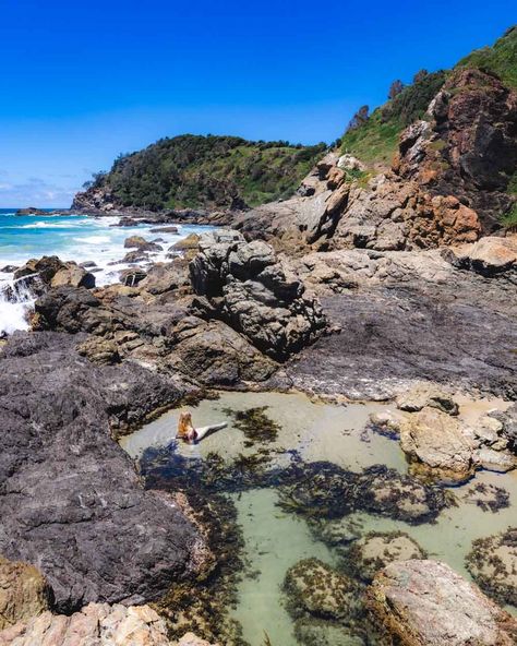 18 incredible things to do in Port Macquarie that have the wow factor — Walk My World Sea Cave, Port Macquarie, Road Trippin, Rock Pools, Swimming Holes, Big Tree, Wow Factor, Picnic Area, Byron Bay