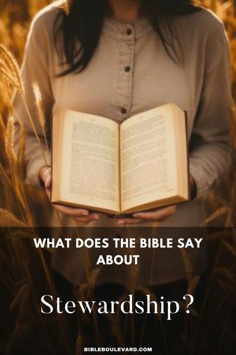 What Does the Bible Say About Stewardship? Best Bible Verses, Bible Says, The Earth, The Bible, Bible Study, Verses, Bible Verses, The 10, Spirituality