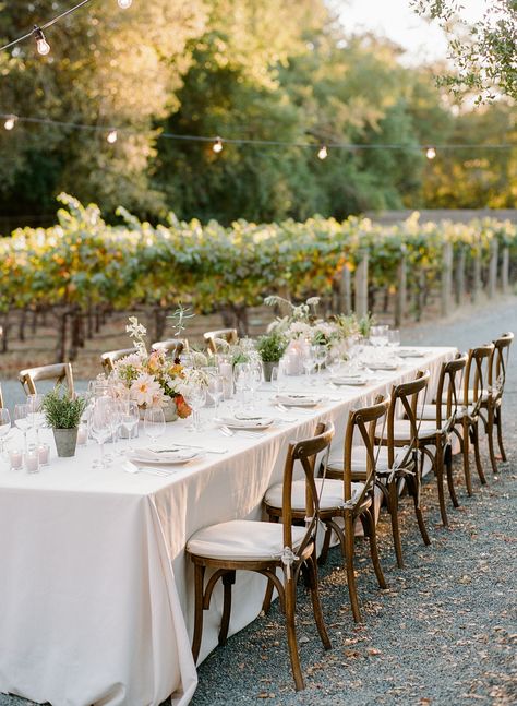 Outdoor winery wedding reception with floral tablescape + rustic wooden chairs at Calistoga Ranch in Calistoga, California. Brought to life by Photographer- Rebecca Yale Photography, Florist- Lambert Floral Studio and Planner- Callista & Company. Al Fresco Dinner, Wine Country Wedding, Wine Country California, Wedding Inside, California Wine, Country Wedding Dresses, Floral Studio, Martha Stewart Weddings, Winery Weddings