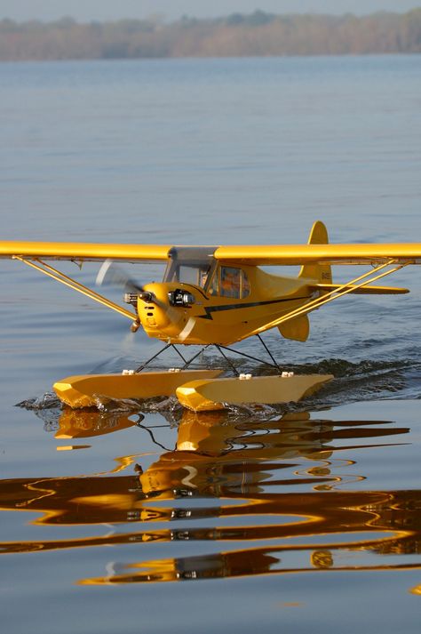 RC Piper Cub on Lake Tyler in East Texas Piper Cub, Light Sport Aircraft, Bush Plane, Light Aircraft, Radio Control Planes, Radio Controlled Boats, Visual Library, Rc Planes, East Texas