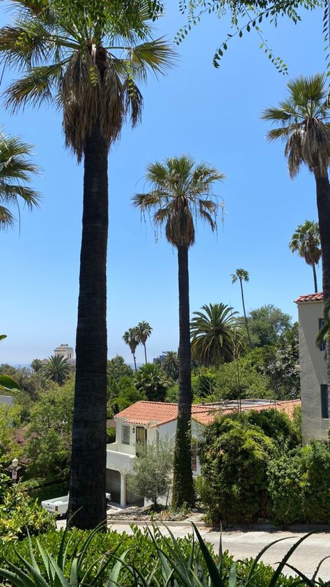 California Neighborhood Aesthetic, Tenerife Aesthetic, Tell Me Three Things, Los Angeles Aesthetic, La Life, Beautiful Locations Nature, California Love, City Of Angels, California Dreamin'