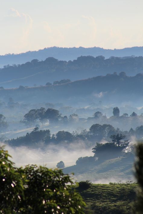 Lismore Nsw, Australian Painters, Misty Morning, Art Landscapes, My Favourite Things, Sun Sets, Just Beautiful, The Hills, Art Studies