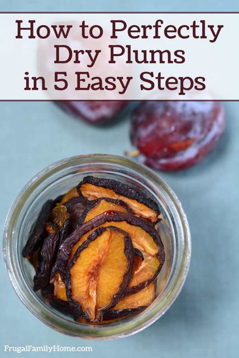 How To Dehydrate Plums, How To Dry Plums, Drying Plums In Dehydrator, Dehydrated Plums In Dehydrator, Dehydrating Plums In Dehydrator, Dehydrated Plums, How To Make Prunes From Plums, Freeze Dried Plums, Prune Plums Recipes