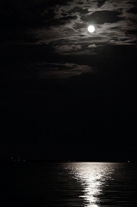 Black And Grey Wallpaper, Iphone Beauty, Iphone Wallpaper Video, Black Ocean, Beach At Night, Moon Pictures, Sky Sea, Dark Paradise, Moon Photography