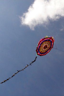 Guatemalan Kites Communicate with the Dead and Scare Away Evil Spirits Kite Flying Photography, Fish Kites, Guatemalan Kites, Travel By Plane, Scared Of Flying, Kite Store, Black Shouldered Kite Bird, Wind Socks, Kite Designs