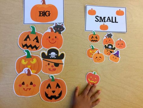 Halloween Free Resource Round Up - Pumpkin size sort and book companions Story Baskets, Halloween Lesson Plans, Pumpkins Preschool, Halloween Activities Preschool, Halloween Lesson, Thema Halloween, October Activities, Halloween Week, Pumpkin Activities