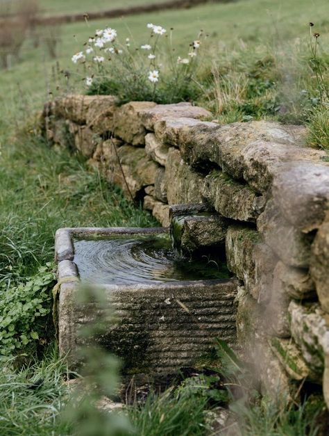 Water Basin Garden, Bubbling Water Feature, Water In The Garden, Water In Garden, Dan Pearson Garden, Garden Rill, Stone Wall Garden, Stones In The Garden, Natural Water Feature