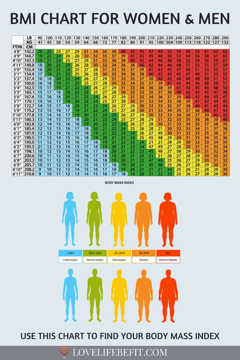 body mass index chart Bmi Chart For Women, Weight Chart For Women, Ideal Weight Chart, Bmi Chart, Weight Charts For Women, Success Pictures, Ways To Be Healthier, Weight Charts, Body Fat Percentage