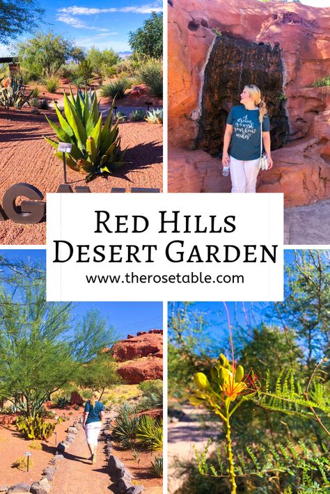 Red Hills Desert Garden is an absolute must for nature lovers traveling to St. George in the Greater Zion Area of Utah! #utah #visitutah #gzinfluencer #greaterzion Red Hills Desert Garden, Utah Gardening, Travel Utah, Utah Trip, Kanab Utah, Visit Utah, Valley Landscape, Utah Road Trip, St George Utah