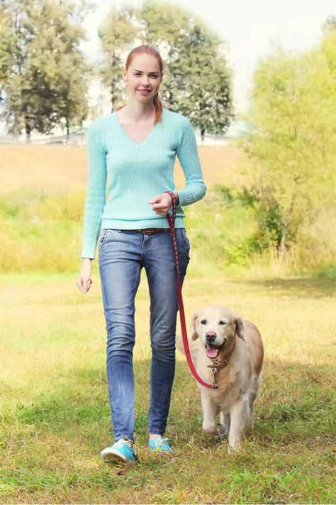 Loose Leash Walking: An Expert Guide To Getting a Relaxing Stroll Border Collie Puppy Training, Walking Tips, German Shepherd Puppies Training, Chihuahua Training, Minnesota Landscape, Loose Leash Walking, Poodle Haircut, Puppy Time, House Training Dogs