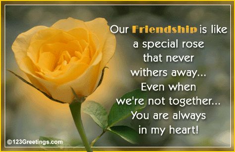 Our Friendship Rose Will Never Wither Away! Free Miss You eCards ... Happy Birthday Yellow Roses, Helen Steiner Rice Poems, Happy Birthday Yellow, Helen Steiner Rice, Happy Friendship Day Quotes, Friendship Rose, True Friends Quotes, Mothers Day Poems, Thinking Of You Quotes