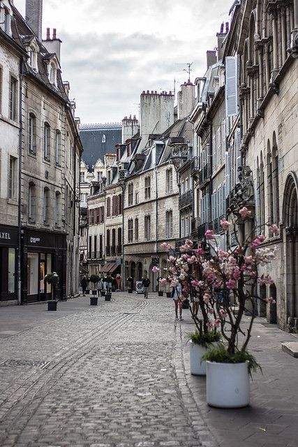 Dijon | Dijon, France | bittersweet.photography | Flickr Dijon France, Europe Honeymoon, Burgundy France, France Trip, France Aesthetic, France Photography, French Architecture, Gothic Architecture, European Travel