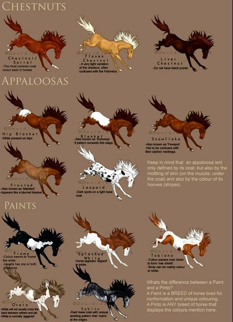 Horse equine Color Chart visuals Horse Color Chart, Horse Coloring, Color Chart, Horses, Animals, Color