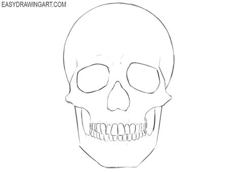 How to Draw a Skull | Easy Drawing Art Draw A Skull Easy, Simple Skull Drawing, Skeleton Art Drawing, Skull Easy, Skull Drawing Sketches, Draw A Skull, Easy Skull Drawings, Skull Reference, Simple Skull